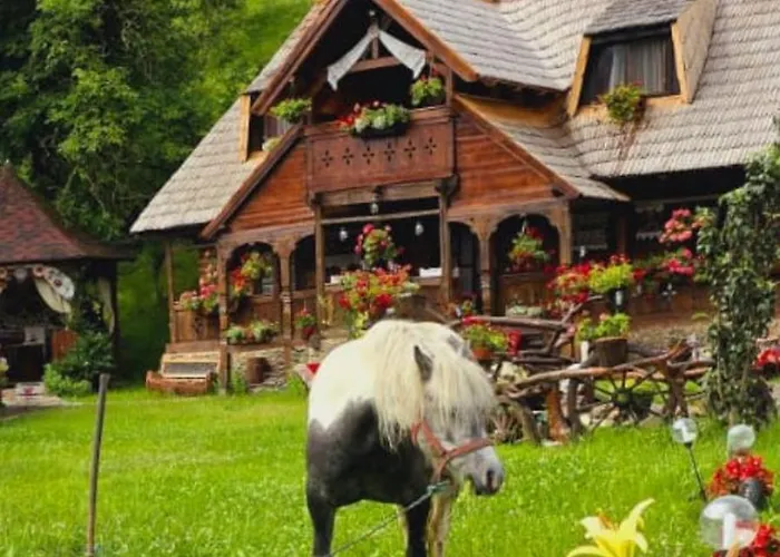 Pensiunea Rustic Oncesti