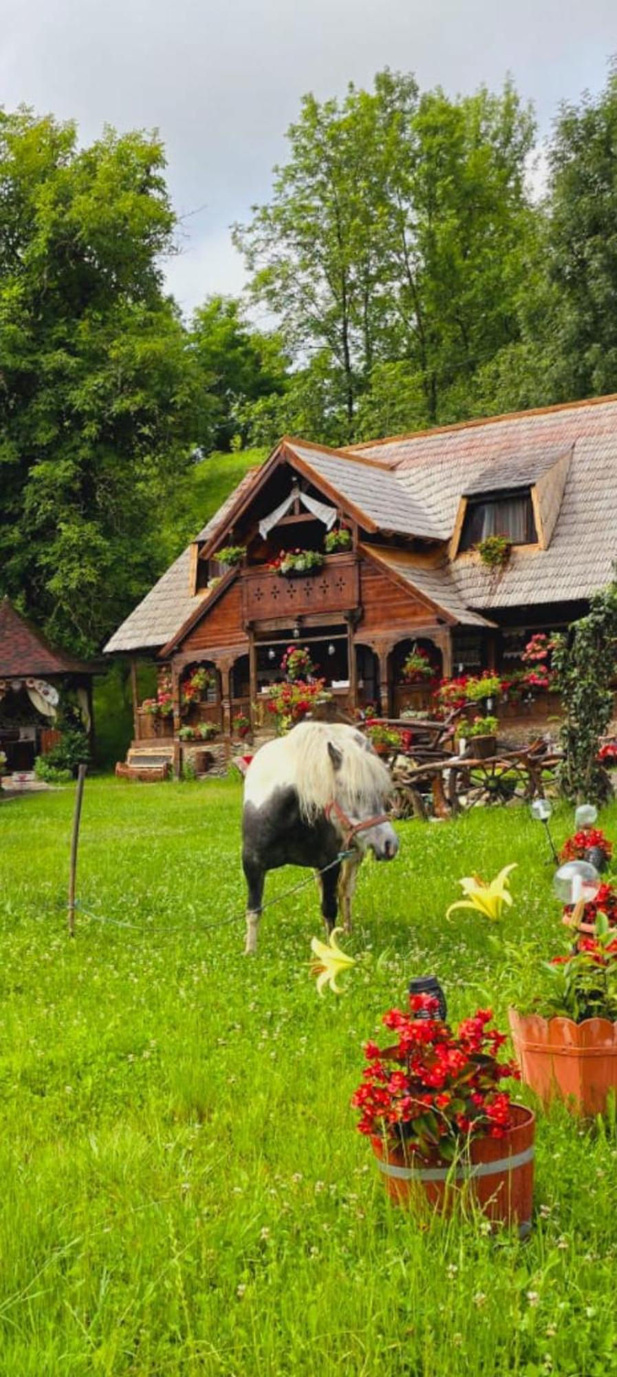 Pensiunea Rustic