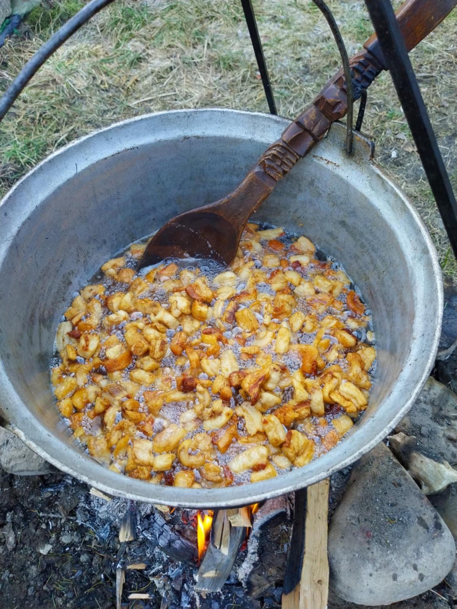 Pensiunea Rustic * Onceşti